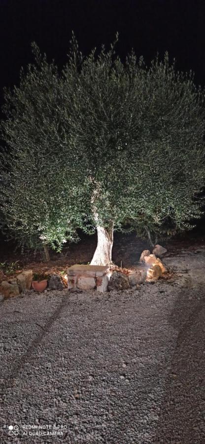 Apartamento Baciati Dal Sole Martina Franca Exterior foto