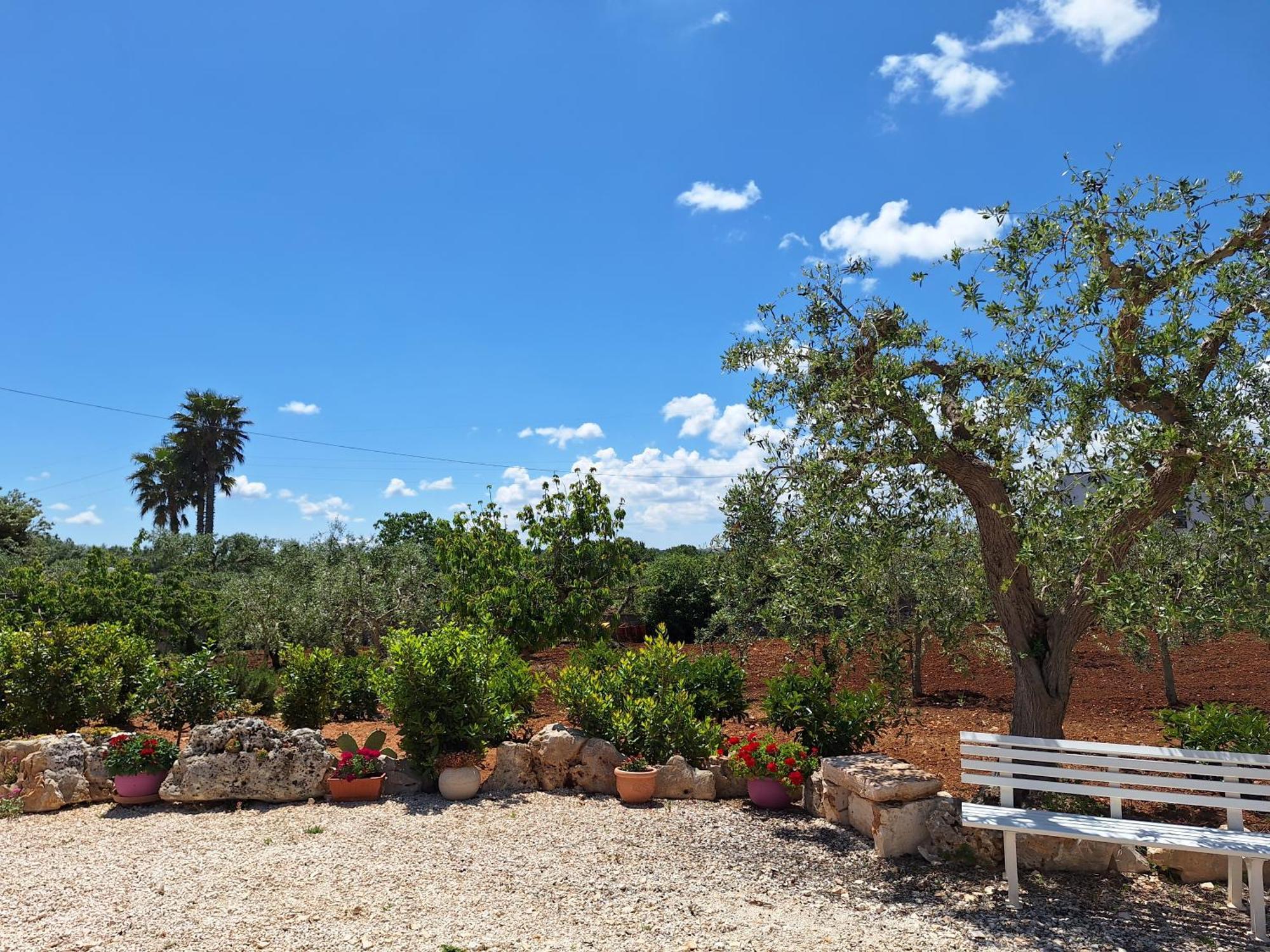 Apartamento Baciati Dal Sole Martina Franca Exterior foto