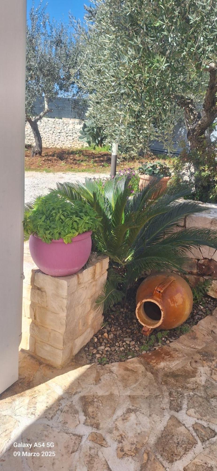 Apartamento Baciati Dal Sole Martina Franca Exterior foto